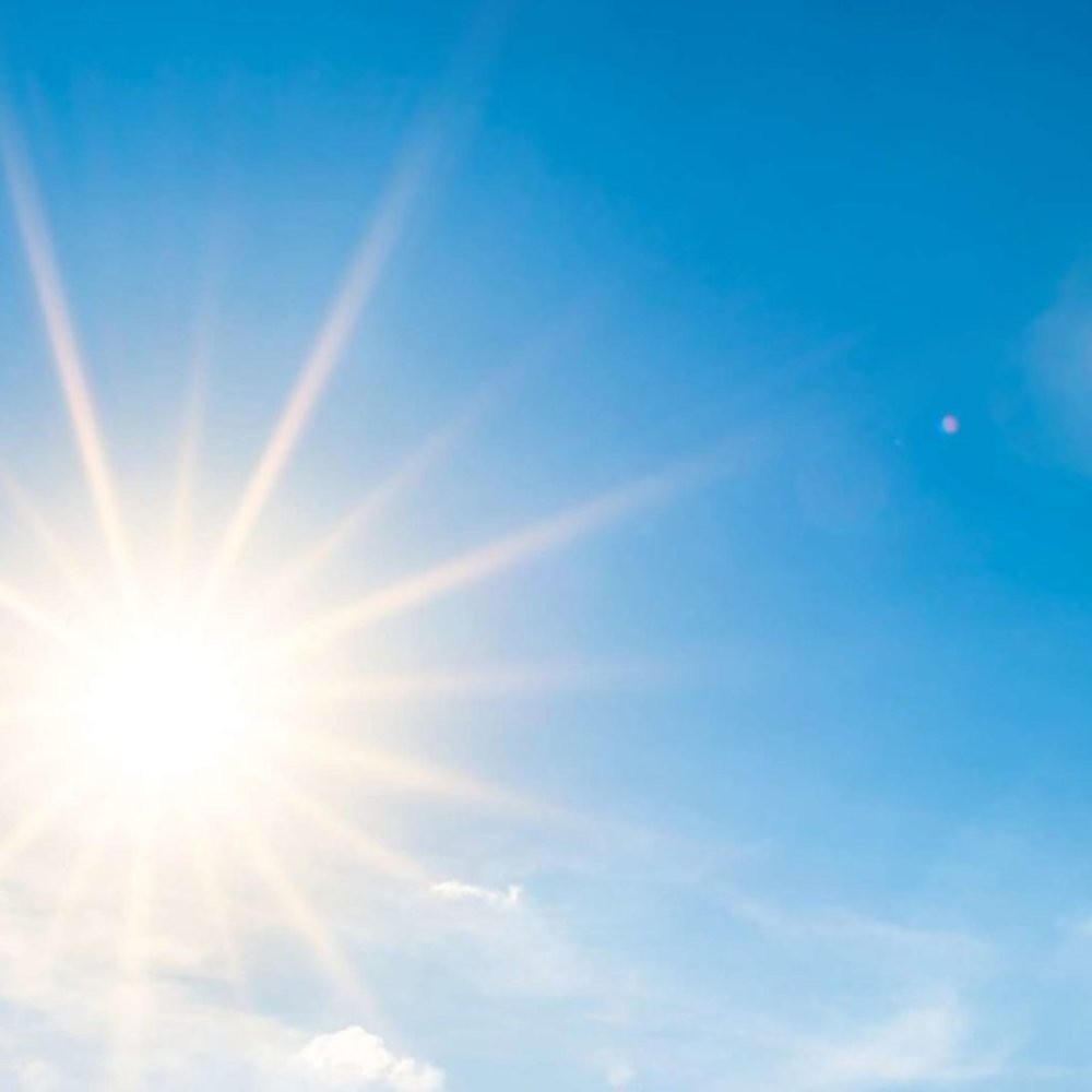 Meet your Posher, Mariana